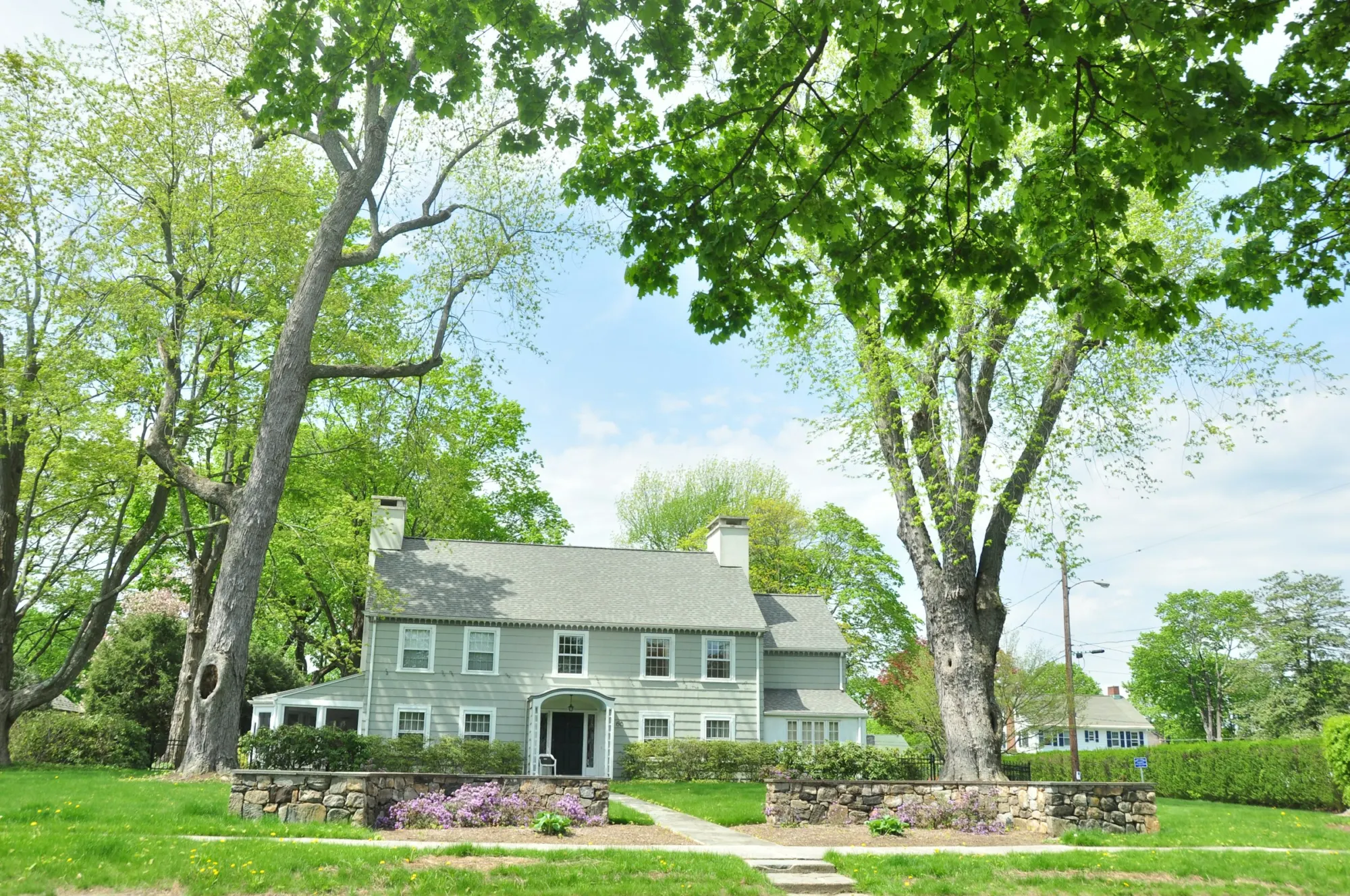 Gray colonial house set back behind tall shade trees